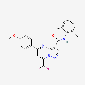 molecular formula C23H20F2N4O2 B10946234 7-(difluoromethyl)-N-(2,6-dimethylphenyl)-5-(4-methoxyphenyl)pyrazolo[1,5-a]pyrimidine-3-carboxamide 