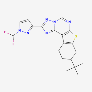 molecular formula C19H20F2N6S B10954219 9-(Tert-butyl)-2-[1-(difluoromethyl)-1H-pyrazol-3-YL]-8,9,10,11-tetrahydro[1]benzothieno[3,2-E][1,2,4]triazolo[1,5-C]pyrimidine 