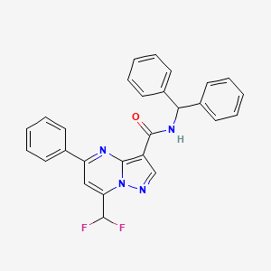 molecular formula C27H20F2N4O B10960425 N-benzhydryl-7-(difluoromethyl)-5-phenylpyrazolo[1,5-a]pyrimidine-3-carboxamide 
