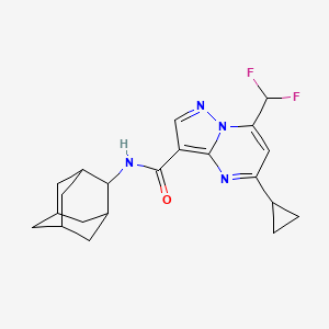 molecular formula C21H24F2N4O B10961747 N-(2-adamantyl)-5-cyclopropyl-7-(difluoromethyl)pyrazolo[1,5-a]pyrimidine-3-carboxamide 