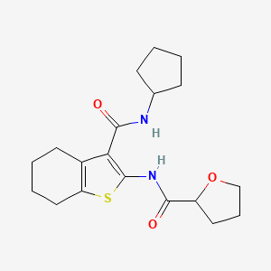 molecular formula C19H26N2O3S B10963405 N-[3-(cyclopentylcarbamoyl)-4,5,6,7-tetrahydro-1-benzothiophen-2-yl]tetrahydrofuran-2-carboxamide 