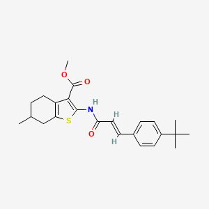 molecular formula C24H29NO3S B10967816 methyl 2-{[(2E)-3-(4-tert-butylphenyl)prop-2-enoyl]amino}-6-methyl-4,5,6,7-tetrahydro-1-benzothiophene-3-carboxylate 