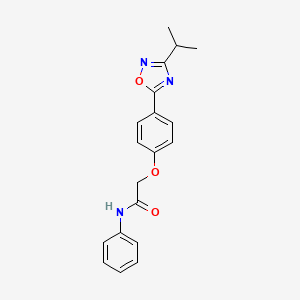 molecular formula C19H19N3O3 B10976583 N-phenyl-2-{4-[3-(propan-2-yl)-1,2,4-oxadiazol-5-yl]phenoxy}acetamide 