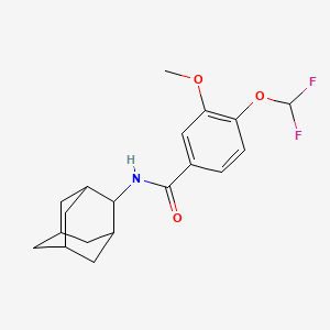 molecular formula C19H23F2NO3 B10976799 N-(2-adamantyl)-4-(difluoromethoxy)-3-methoxybenzamide 