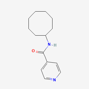molecular formula C14H20N2O B10977105 N-cyclooctylpyridine-4-carboxamide 