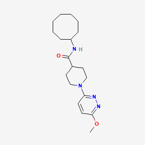 molecular formula C19H30N4O2 B10979132 N-cyclooctyl-1-(6-methoxypyridazin-3-yl)piperidine-4-carboxamide 