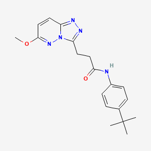 molecular formula C19H23N5O2 B10988601 N-(4-tert-butylphenyl)-3-(6-methoxy[1,2,4]triazolo[4,3-b]pyridazin-3-yl)propanamide 