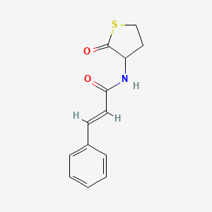molecular formula C13H13NO2S B11017991 N-(2-Oxo-tetrahydro-thiophen-3-yl)-3-phenyl-acrylamide 