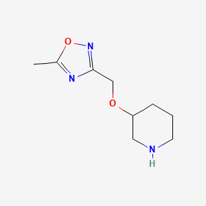 molecular formula C9H15N3O2 B11040425 3-[(5-Methyl-1,2,4-oxadiazol-3-yl)methoxy]piperidine 