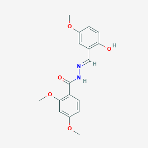 molecular formula C17H18N2O5 B11099268 N'-[(E)-(2-hydroxy-5-methoxyphenyl)methylidene]-2,4-dimethoxybenzohydrazide 