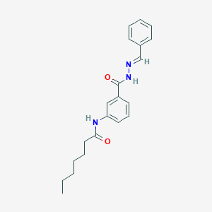 molecular formula C21H25N3O2 B11103989 N-(3-{[(2E)-2-benzylidenehydrazinyl]carbonyl}phenyl)heptanamide 