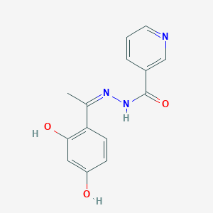 molecular formula C14H13N3O3 B11106154 N'-[(1Z)-1-(2,4-dihydroxyphenyl)ethylidene]pyridine-3-carbohydrazide 