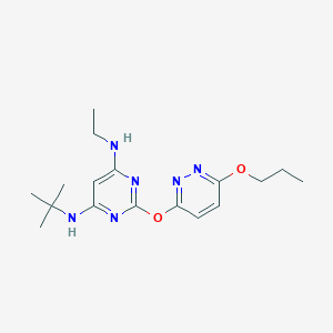 molecular formula C17H26N6O2 B11118746 N-tert-butyl-N'-ethyl-2-[(6-propoxypyridazin-3-yl)oxy]pyrimidine-4,6-diamine 