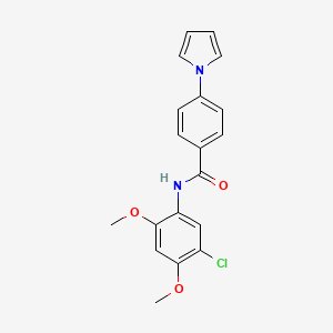 molecular formula C19H17ClN2O3 B11149054 N-(5-chloro-2,4-dimethoxyphenyl)-4-(1H-pyrrol-1-yl)benzamide 