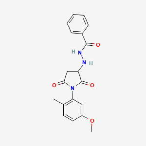 molecular formula C19H19N3O4 B11186333 N'-[1-(5-methoxy-2-methylphenyl)-2,5-dioxopyrrolidin-3-yl]benzohydrazide 