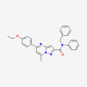 molecular formula C29H26N4O2 B11193650 N-benzyl-5-(4-ethoxyphenyl)-7-methyl-N-phenylpyrazolo[1,5-a]pyrimidine-2-carboxamide 