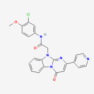 molecular formula C24H18ClN5O3 B11200110 N-(3-chloro-4-methoxyphenyl)-2-[4-oxo-2-(pyridin-4-yl)pyrimido[1,2-a]benzimidazol-10(4H)-yl]acetamide 