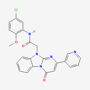 molecular formula C24H18ClN5O3 B11202672 N-(5-chloro-2-methoxyphenyl)-2-[4-oxo-2-(pyridin-3-yl)pyrimido[1,2-a]benzimidazol-10(4H)-yl]acetamide 