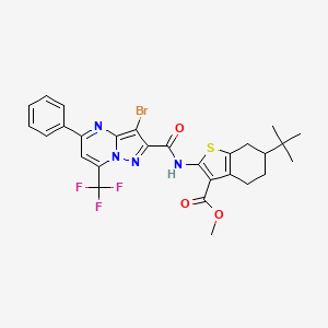 molecular formula C28H26BrF3N4O3S B11223136 Methyl 2-({[3-bromo-5-phenyl-7-(trifluoromethyl)pyrazolo[1,5-a]pyrimidin-2-yl]carbonyl}amino)-6-tert-butyl-4,5,6,7-tetrahydro-1-benzothiophene-3-carboxylate 