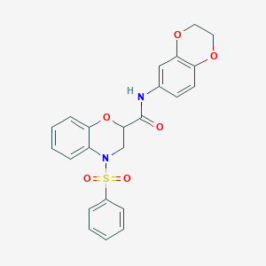 molecular formula C23H20N2O6S B11231848 N-(2,3-dihydro-1,4-benzodioxin-6-yl)-4-(phenylsulfonyl)-3,4-dihydro-2H-1,4-benzoxazine-2-carboxamide 