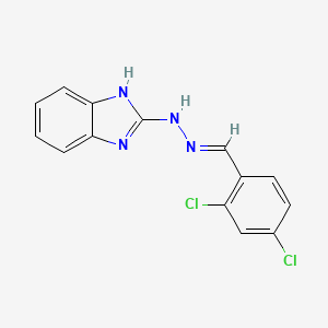molecular formula C14H10Cl2N4 B11235017 2-[(2E)-2-(2,4-dichlorobenzylidene)hydrazinyl]-1H-benzimidazole 