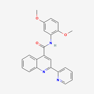 molecular formula C23H19N3O3 B11260449 N-(2,5-dimethoxyphenyl)-2-(pyridin-2-yl)quinoline-4-carboxamide 