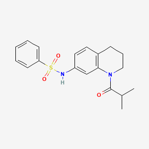 molecular formula C19H22N2O3S B11260669 N-(1-isobutyryl-1,2,3,4-tetrahydroquinolin-7-yl)benzenesulfonamide 