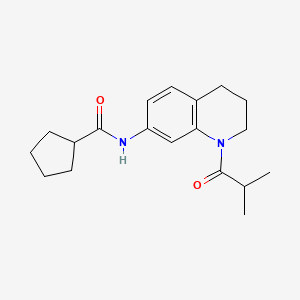 molecular formula C19H26N2O2 B11261032 N-(1-isobutyryl-1,2,3,4-tetrahydroquinolin-7-yl)cyclopentanecarboxamide 