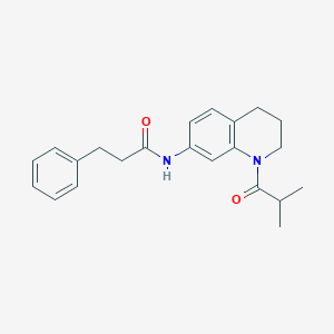 molecular formula C22H26N2O2 B11261466 N-(1-isobutyryl-1,2,3,4-tetrahydroquinolin-7-yl)-3-phenylpropanamide 