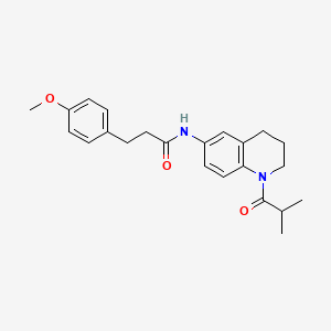 molecular formula C23H28N2O3 B11262112 N-(1-isobutyryl-1,2,3,4-tetrahydroquinolin-6-yl)-3-(4-methoxyphenyl)propanamide 