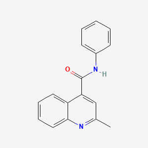 molecular formula C17H14N2O B11278168 2-methyl-N-phenylquinoline-4-carboxamide CAS No. 332177-68-1