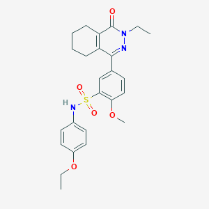 molecular formula C25H29N3O5S B11299464 N-(4-ethoxyphenyl)-5-(3-ethyl-4-oxo-3,4,5,6,7,8-hexahydrophthalazin-1-yl)-2-methoxybenzenesulfonamide 