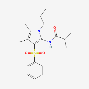 molecular formula C19H26N2O3S B11299471 N-[4,5-dimethyl-3-(phenylsulfonyl)-1-propyl-1H-pyrrol-2-yl]-2-methylpropanamide 