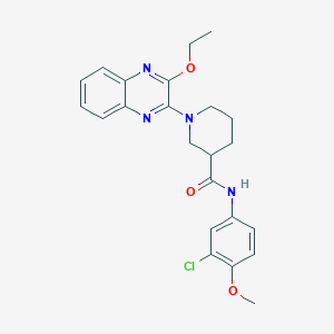 molecular formula C23H25ClN4O3 B11305517 N-(3-chloro-4-methoxyphenyl)-1-(3-ethoxyquinoxalin-2-yl)piperidine-3-carboxamide 
