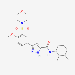 molecular formula C23H32N4O5S B11305527 N-(2,3-dimethylcyclohexyl)-5-[4-methoxy-3-(morpholin-4-ylsulfonyl)phenyl]-1H-pyrazole-3-carboxamide 