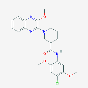molecular formula C23H25ClN4O4 B11311036 N-(4-chloro-2,5-dimethoxyphenyl)-1-(3-methoxyquinoxalin-2-yl)piperidine-3-carboxamide 