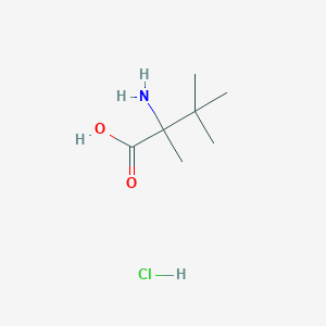 molecular formula C7H16ClNO2 B113194 2-氨基-2-叔丁基丙酸盐酸盐 CAS No. 88807-79-8