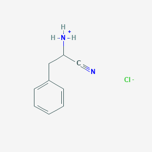 molecular formula C9H11ClN2 B113309 2-Amino-3-phenylpropanenitrile hydrochloride CAS No. 93554-83-7