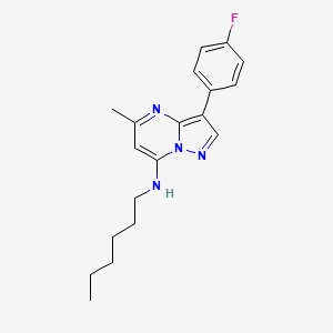 molecular formula C19H23FN4 B11333913 3-(4-fluorophenyl)-N-hexyl-5-methylpyrazolo[1,5-a]pyrimidin-7-amine 