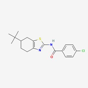 molecular formula C18H21ClN2OS B11339810 N-(6-tert-butyl-4,5,6,7-tetrahydro-1,3-benzothiazol-2-yl)-4-chlorobenzamide 
