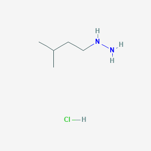 molecular formula C5H15ClN2 B113711 (3-甲基丁基)肼盐酸盐 CAS No. 1231245-19-4