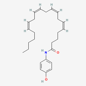 molecular formula C26H37NO2 B1139072 (5Z,8Z,11Z,14Z)-N-(4-hydroxyphenyl)icosa-5,8,11,14-tetraenamide CAS No. 198022-70-7