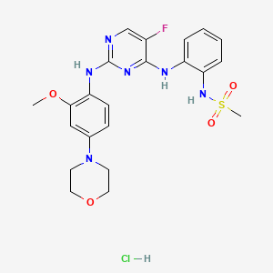 molecular formula C22H25FN6O4S B1139147 CZC-25146（盐酸盐） CAS No. 1330003-04-7