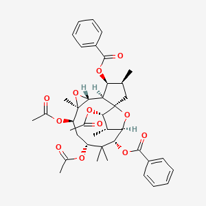 molecular formula C40H48O12 B1139412 Euphohelin C CAS No. 100288-18-4