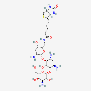 molecular formula C₂₈H₅₁N₇O₁₁S B1139697 Biotinyl Tobramycin Amide CAS No. 419573-18-5