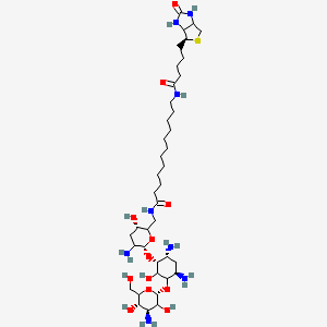 molecular formula C₄₀H₇₄N₈O₁₂S B1139703 N-Biotinyl-12-aminododecanoyltobramycin Amide CAS No. 419573-20-9