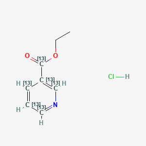 Ethyl Nicotinate-1,2',3',4',5',6'-13C6 Hydrochloride Salt