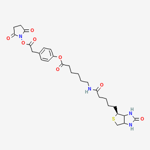 3-(4-(N-Biotinoyl-6-aminocaproyloxy)phenyl)propionic Acid, N-Hydroxysuccinimide Ester