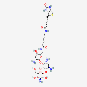 molecular formula C₃₄H₆₂N₈O₁₂S B1139895 Biotinamidocaproate Tobramycin Amide CAS No. 419573-19-6