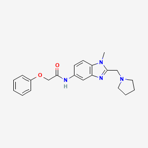molecular formula C21H24N4O2 B11399396 N-(1-Methyl-2-pyrrolidin-1-ylmethyl-1H-benzoimidazol-5-yl)-2-phenoxy-acetamide 